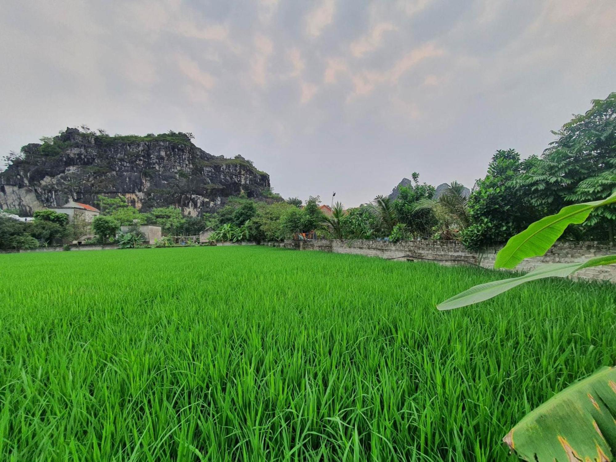 Trang An Garden Bungalow Ninh Binh Esterno foto